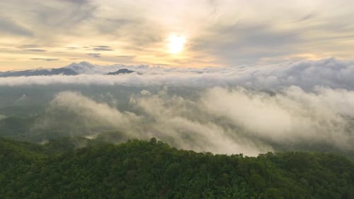 The weather is hot and humid, with a lot of water vapor creating a sea of mist in the foreground.