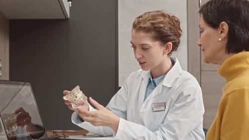 Dentist Explains Jaw Model to Patient