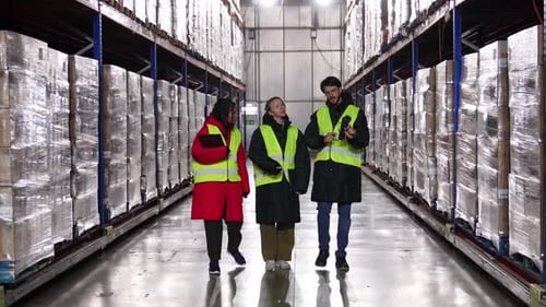 Warehouse Workers Inspecting Inventory in Cold Storage