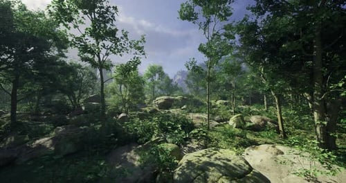 Lush Green Forest Landscape with Rocks Under Clear Blue Sky and Sunlight