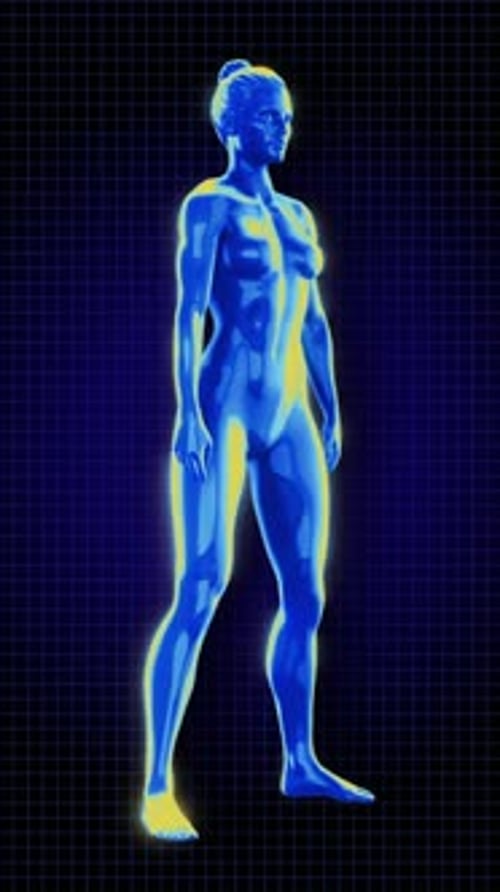 Animated 3D Digital Scan of Woman Performing Squats Exercise