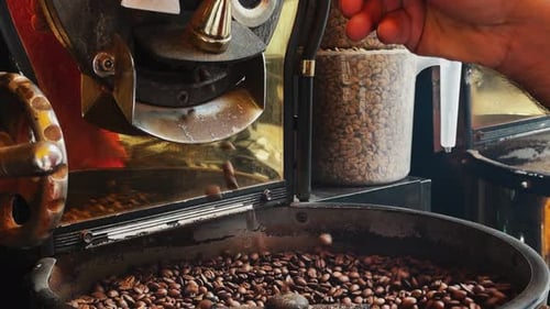 Coffee Beans Roasted in a Professional Machine