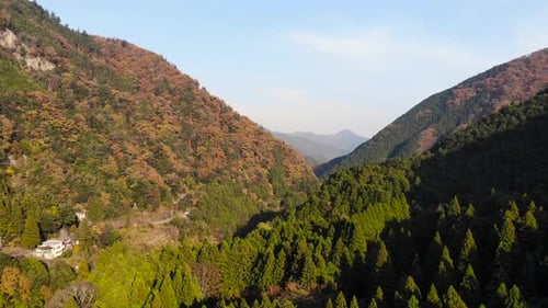 Slow aerial forward over dense forest area with autumn foliage and mountains