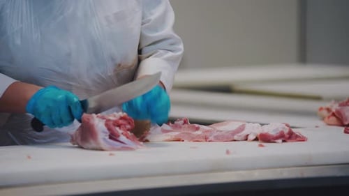 Meat Processing Plant Worker Cutting Meat Food Industry