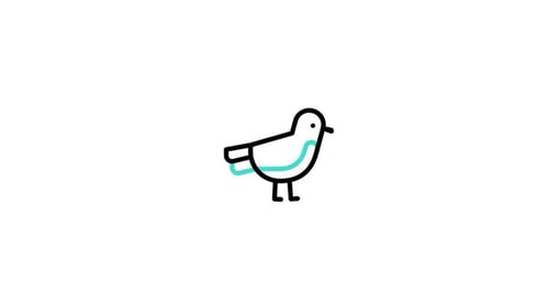 Minimalist Line Art Bird Walking Animation