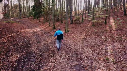 Young Man Walking Through a Forest in Autumn Scenery. Hiking in the Woods. Enjoying a Walk in a Fore