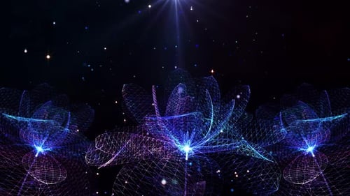 Futuristic Wireframe Lotus Flowers Animation with Glowing Particles