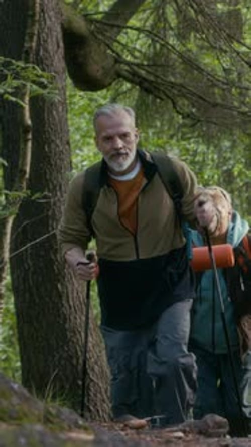 Vertical of Fit Senior Couple Trekking Together in Forest