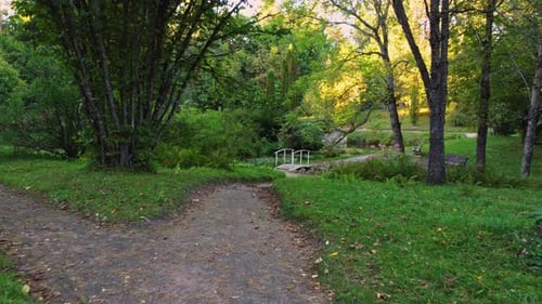Grüner Park mit Weg und Bäumen an sonnigen Tagen, mit dem Auto nach vorne
