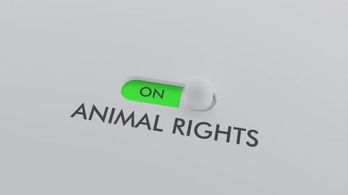 Turning Switch From OFF to ON The Animal Rights Switch
