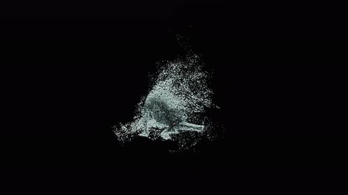 Dynamic Water Splash Burst Transition Alpha Channel