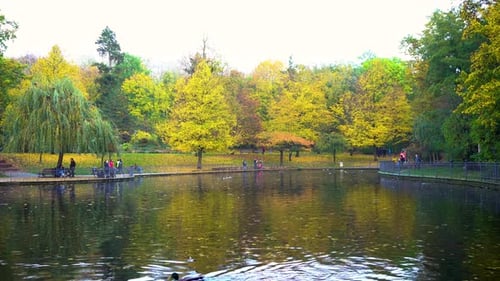 Autumn Day in Beautiful Park in Berlin with Lake View and Yellow Trees