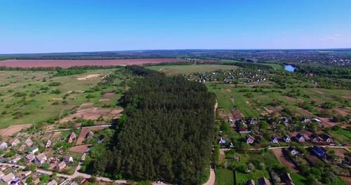 Little forest planting of pine trees in the countryside. Beautiful village with lots of cottages