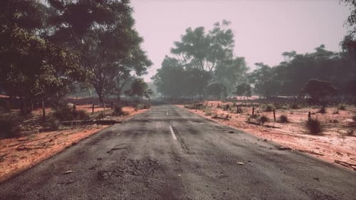 Clean Rural Road with Trees