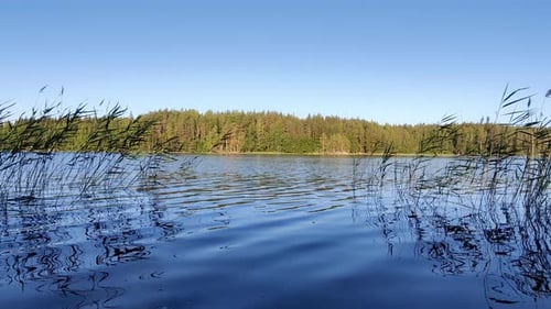 Calm lake scenery with water moving slowly in the wind. Beautiful nature in Finland.