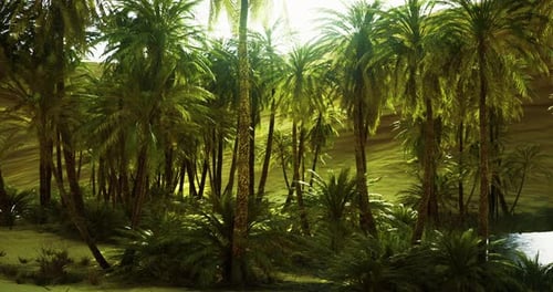 Lush Tropical Oasis with Vibrant Palm Trees and Serene Water Body at Noon