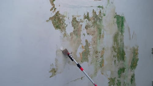 Tool Scraping Mold From Indoor Wall