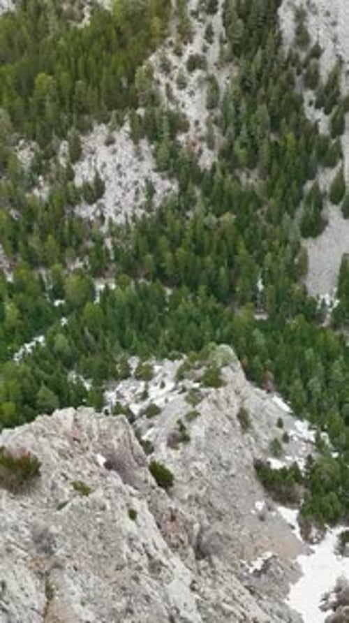 Vertical Video Aerial Paradise Turkish Cinematic Winter Mountain Forest with River and Majestic