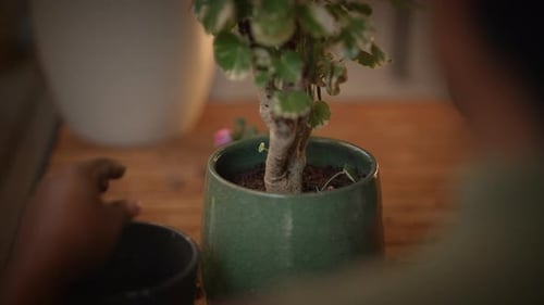 A Person is Carefully Tending to a Potted Plant While Using a Gardening Tool in Their Hands