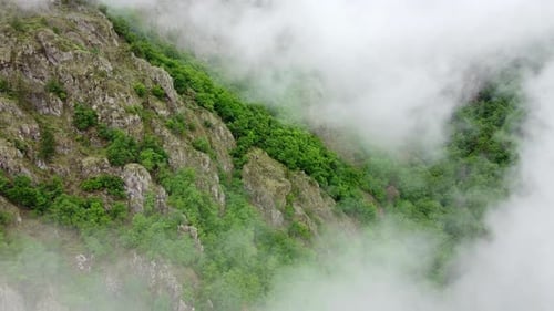 Nature Summer Green Forest Clouds Sky Morning Fog Mist Aerial