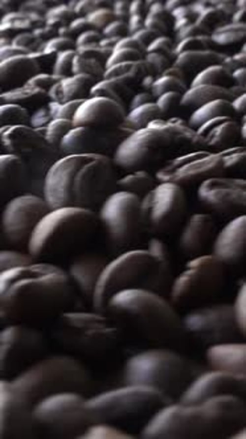 Vertical Video of Coffee Beans