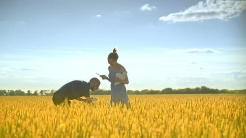 Farmers Inspecting Wheat Crop in Golden Field