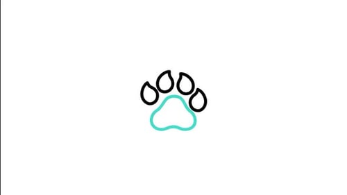 Caracal Animated Icon