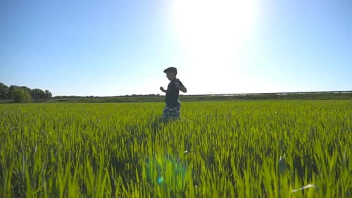 Carefree Child in Hat Jogging at the Meadow in Summer and Having Fun Happy Boy is Running Through