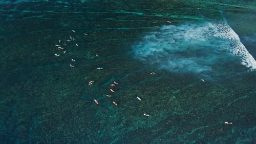 Surfers in Clear Transparent Ocean Waiting Waves Aerial View with Surfing on Wave