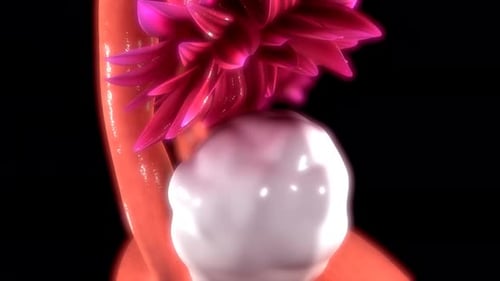 Human egg cell released during ovulation
