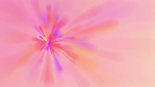 Soft Pink Fluid Abstract Light Burst Background