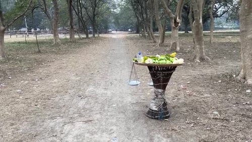 Vue de profil d'un chariot de vendeur de fruits dans une forêt vide à Calcutta, en Inde, par temps nuageux.