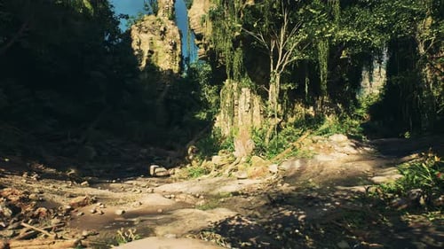 A Rocky Dirt Road Through a Secluded Forest