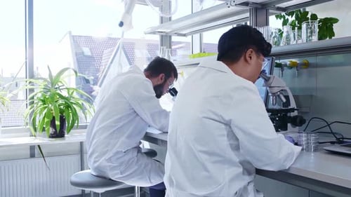 Wissenschaftler und sein Assistent arbeiten im Labor, Arzt, unterrichten Praktikant, um Analyseforschung zu betreiben
