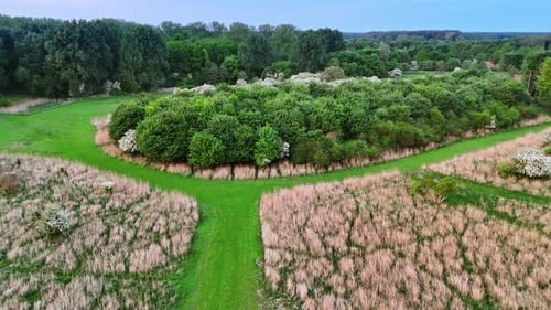 Winding path in green landscape.