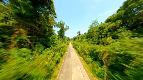 Vuelo rápido de un Zumbido FPV sobre una carretera tropical