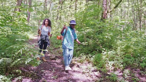 Couple Travelers Discussing Their Route Walking Down Mountain Forest