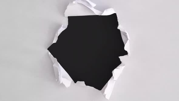 White Paper Burst Rip, Overlays Motion Graphics ft. art & overlay - Envato