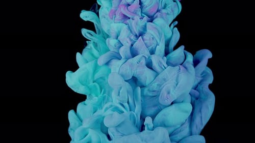 Pink And Blue Ink Cloud Collision Paint Mixing In Water Slow Motion Black Background Abstract Motion
