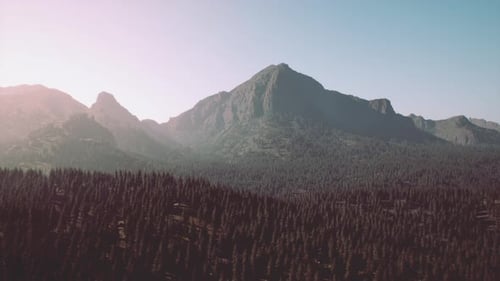 Montañas cubiertas de bosques en la niebla de la madrugada