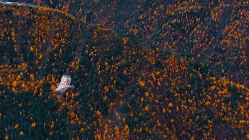 Vue aérienne de beaux sites touristiques et de la nature avec la montagne dans le district de Tlyaratinsky