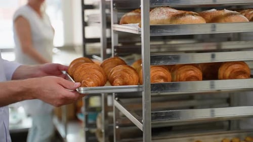 Baker Holding Tray of Golden Croissants in Bakery