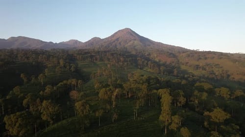 Luftaufnahme des Sonnenaufgangs am Berg Pagilaran Batang, Zentral-Java