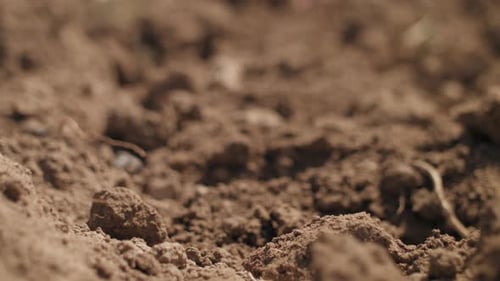 Landwirtschaftlicher Boden. Toter Ackerboden. Nahaufnahme aus einem niedrigen Winkel, Fokus auf landwirtschaftlichen Boden. 4k fo