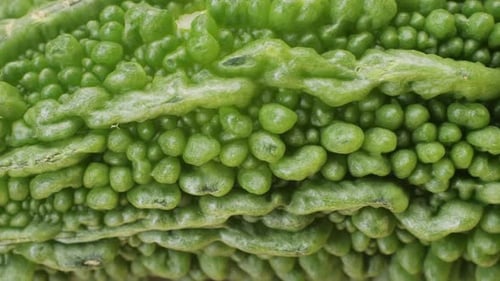 Une gourde amère, un légume souvent utilisé comme ingrédient en cuisine, est posée sur une table en bois.