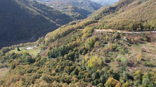 Aerial Mountains and Forest