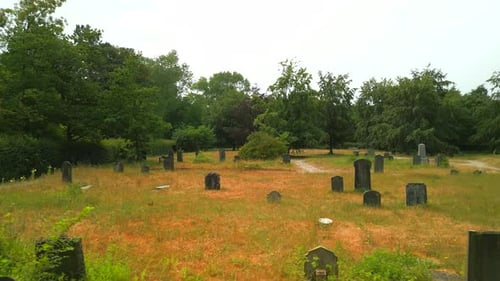 Dolly wurde nach rechts über Gräbern auf einem Friedhof in den Niederlanden geschossen