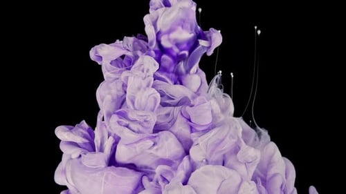 Wunderliche Paint Fusion, anmutige Bewegung von lila, lila und weißen Farben