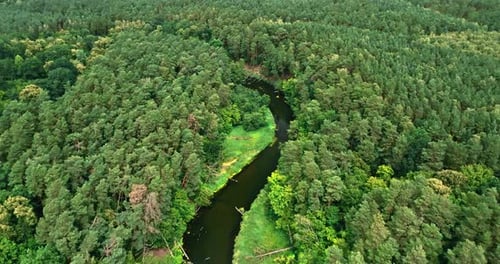 Aerial view of wildlife, Poland. Small river and green forests.