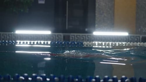 Professional Female Swimmer Swimming Butterfly Style In Poolside View Of Sportswoman In Swimming Cap